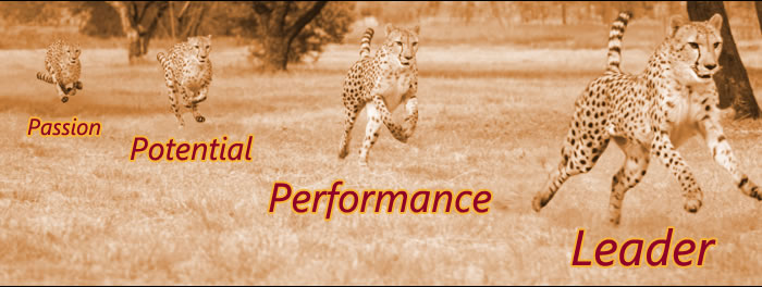 Passion, Potential, Performance, Leader